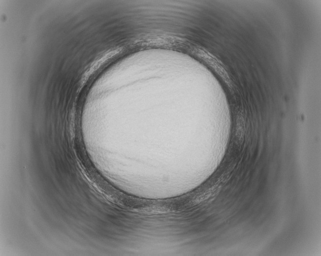 X0000085780578200704131831