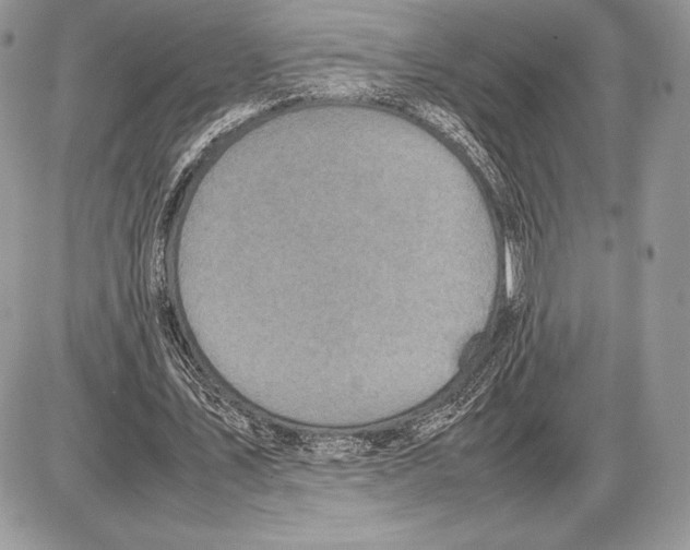 X0000085780579200704131831