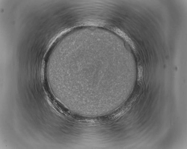 X0000085780580200704131831