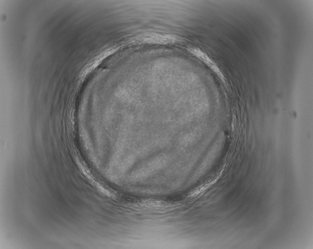 X0000085780581200704131831