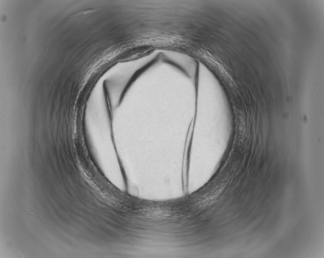 X0000085780582200704131831