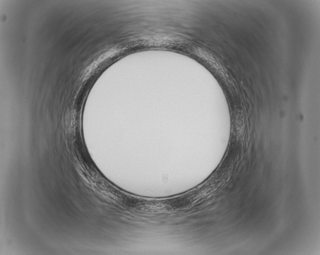 X0000085780583200704131831