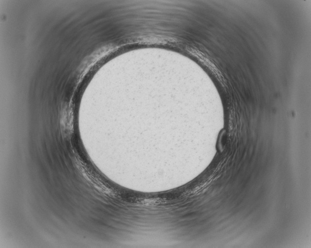 X0000085780584200704131831