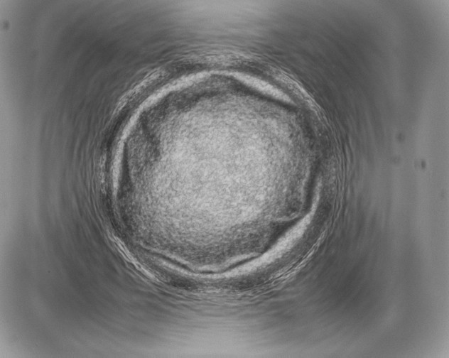 X0000085780585200704131831