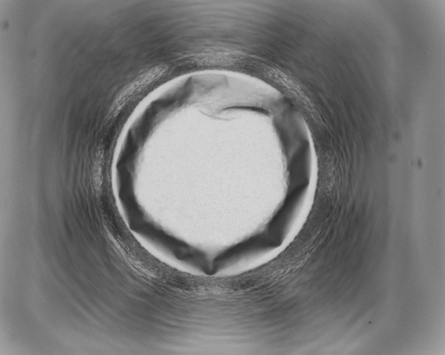 X0000085780586200704131831