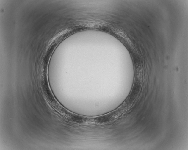 X0000085780587200704131831