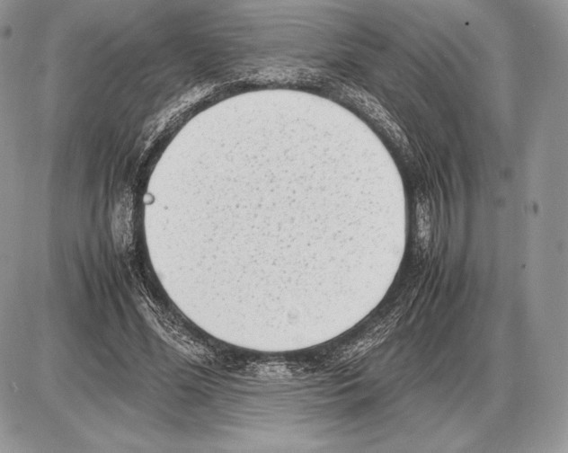 X0000085780588200704131831