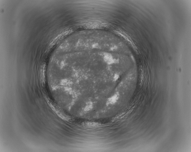 X0000085780590200704131831