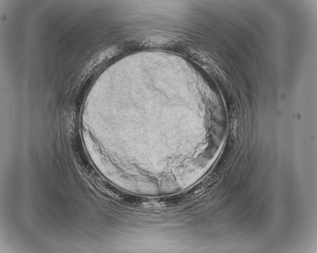 X0000085780591200704131831