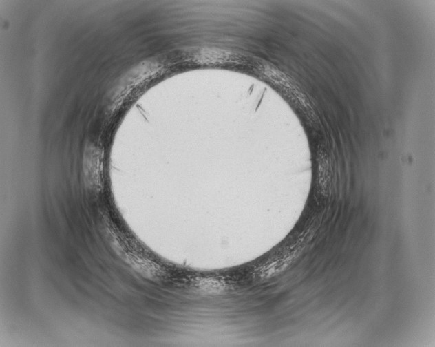 X0000085780592200704131831