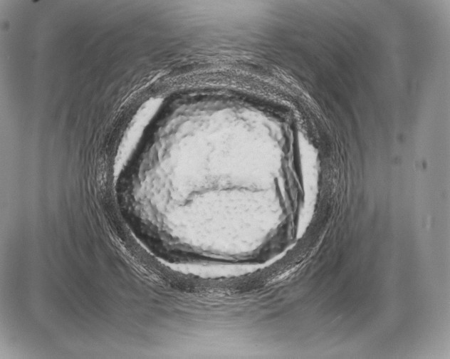 X0000085780593200704131831