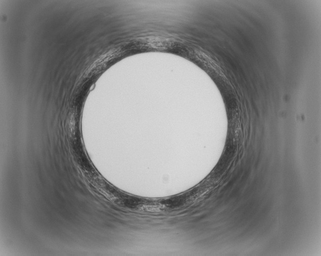 X0000085780595200704131831