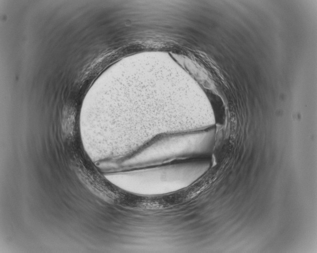 X0000085780596200704131831