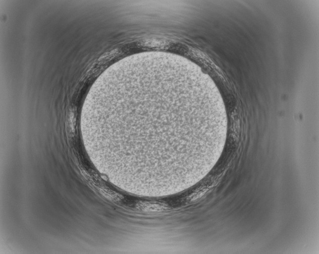 X0000085780597200704131831