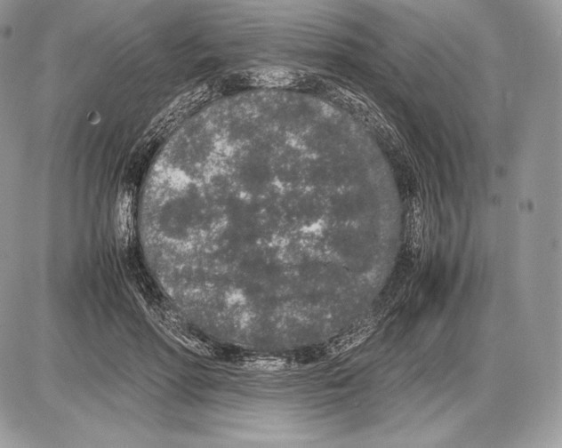 X0000085780598200704131831