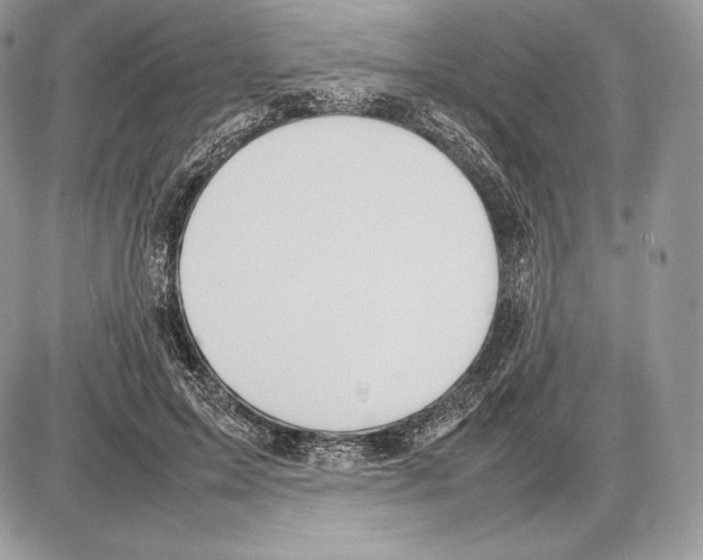 X0000085780599200704131831