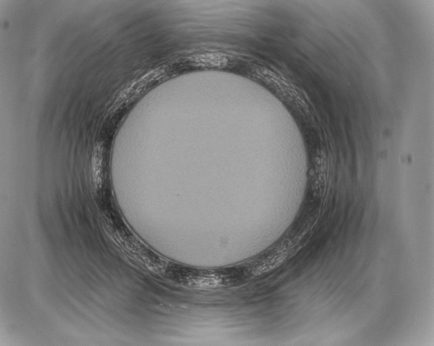 X0000085780600200704131831