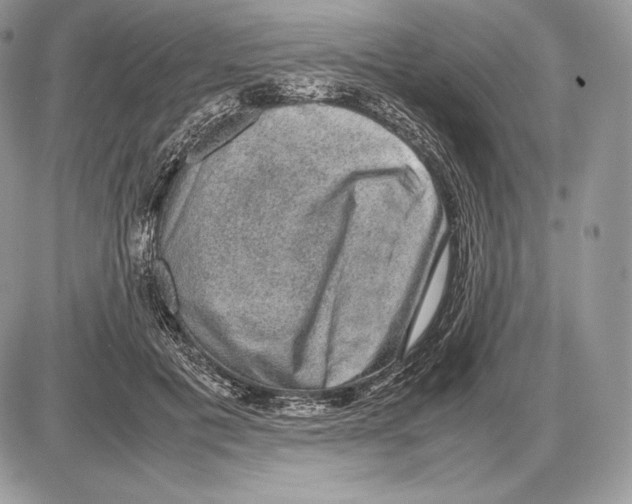 X0000085780601200704131831