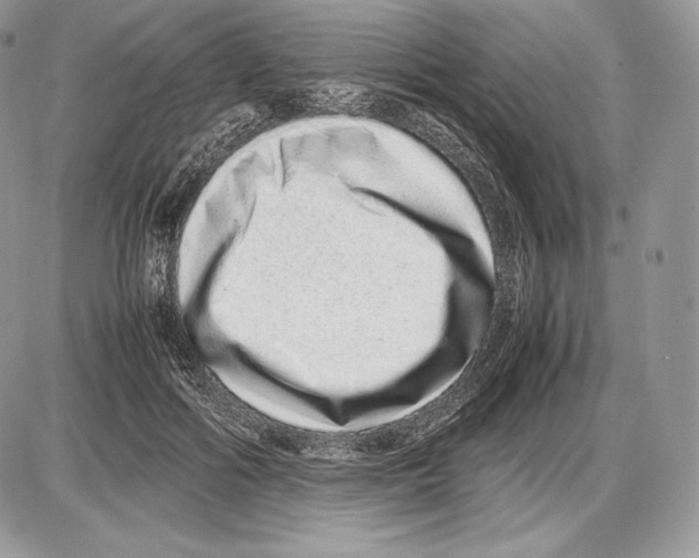 X0000085780602200704131831