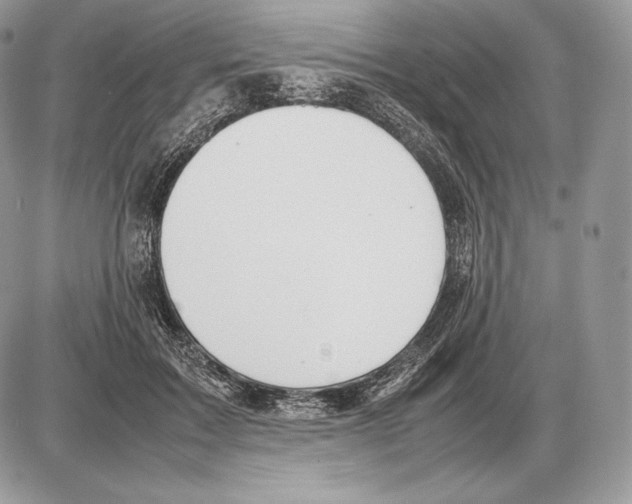 X0000085780603200704131831