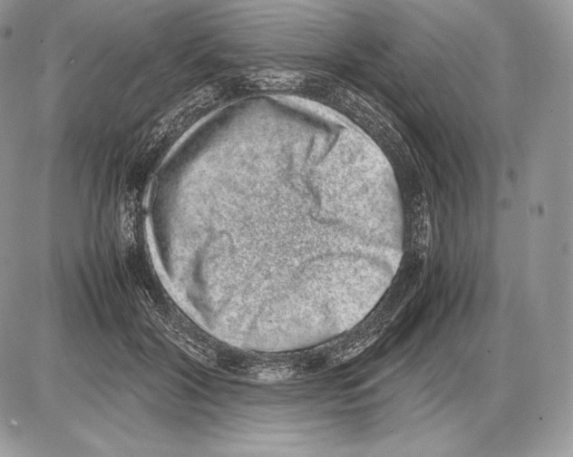 X0000085780604200704131831