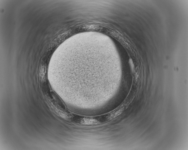 X0000085780605200704131831