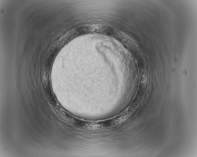 X0000085780607200704131831