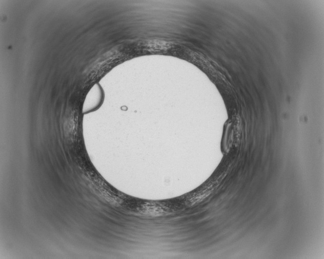 X0000085780608200704131831