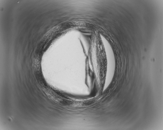 X0000085780609200704131831