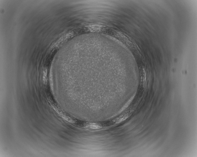 X0000085780610200704131831