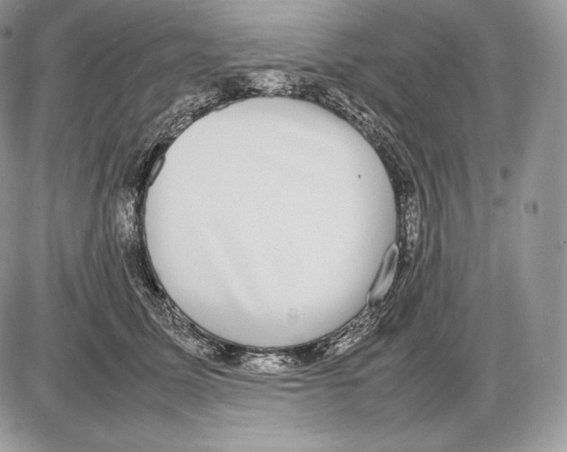 X0000085780611200704131831