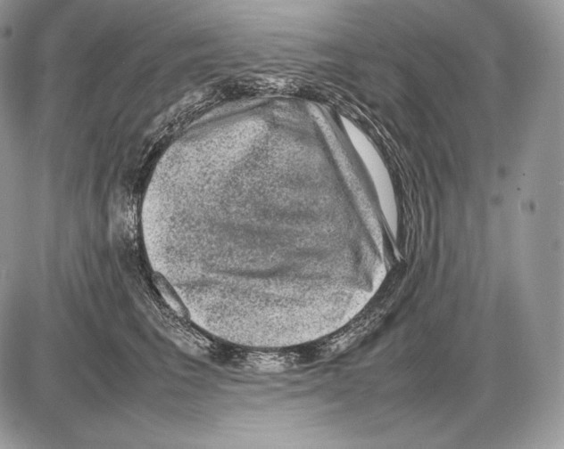 X0000085780613200704131831