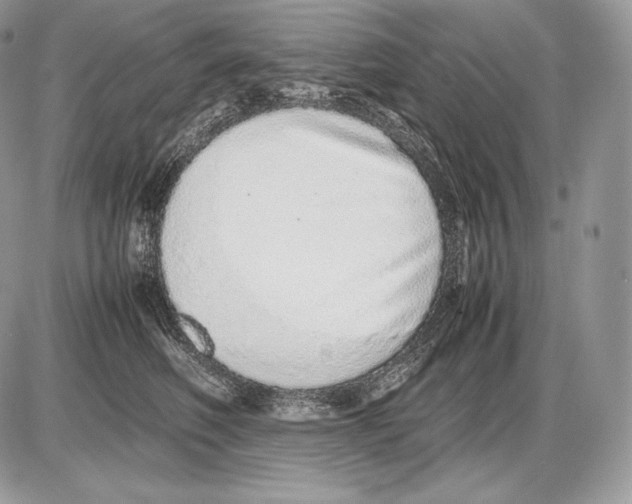 X0000085780614200704131831