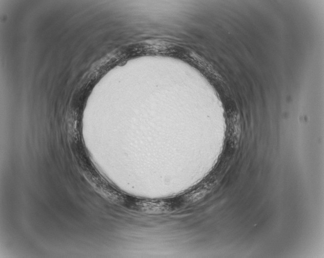 X0000085780615200704131831