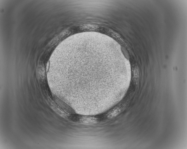 X0000085780617200704131830