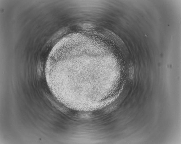 X0000085780618200704131830