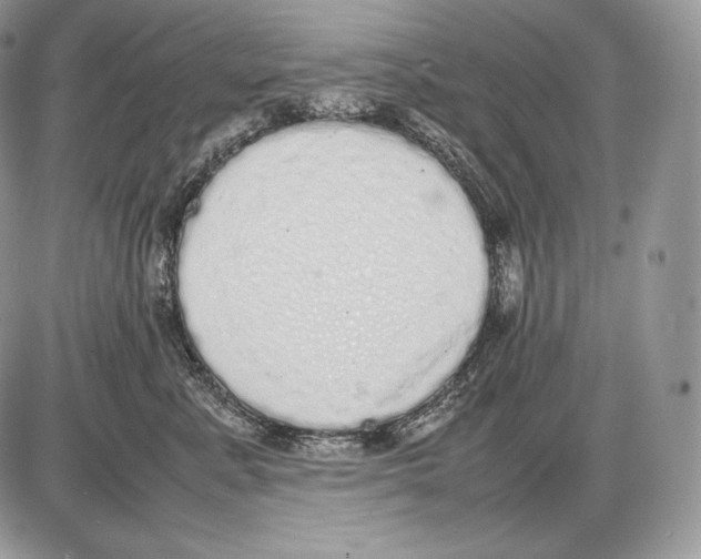 X0000085780619200704131830