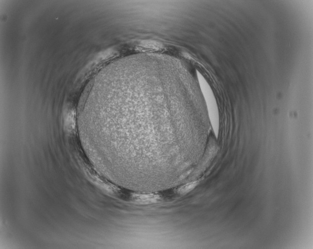 X0000085780621200704131830