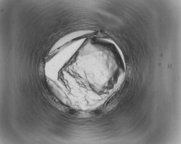 X0000085780623200704131830