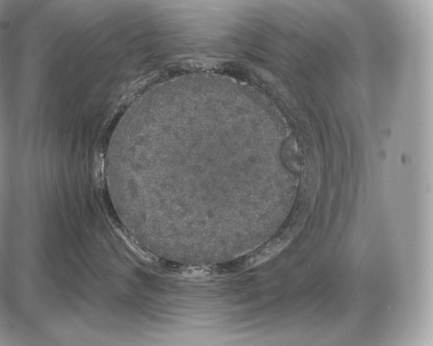 X0000085780624200704131830