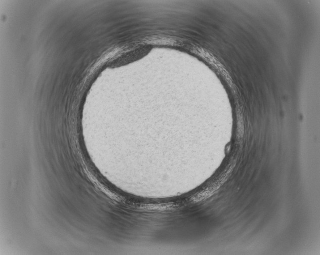 X0000085780625200704131830