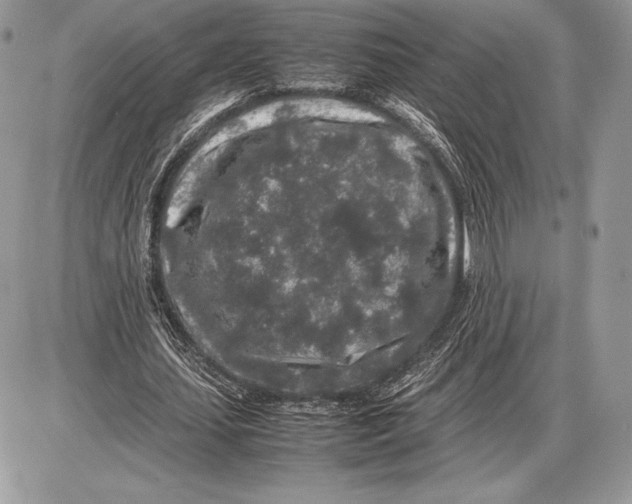 X0000085780627200704131830