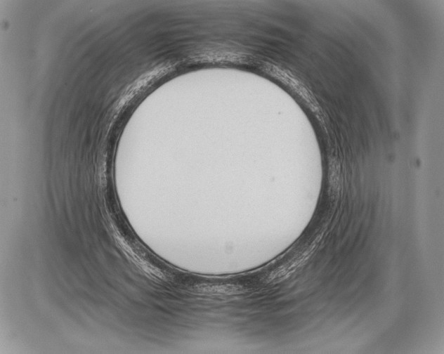 X0000085780629200704131830