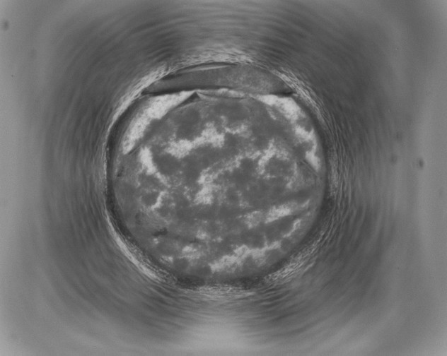 X0000085780630200704131830