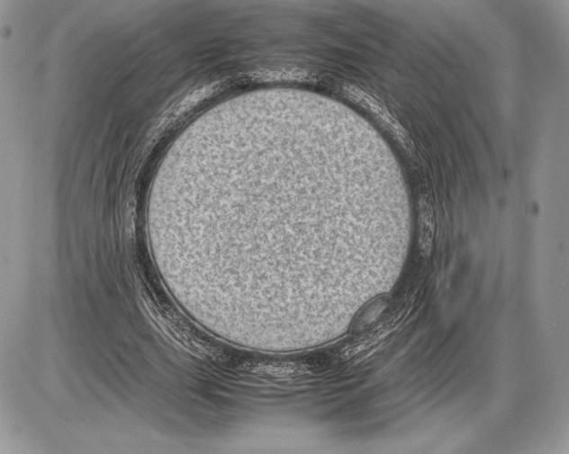 X0000085780631200704131830