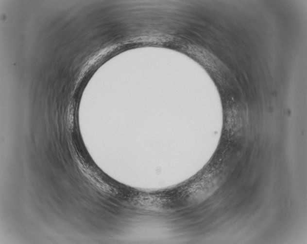 X0000085780632200704131830