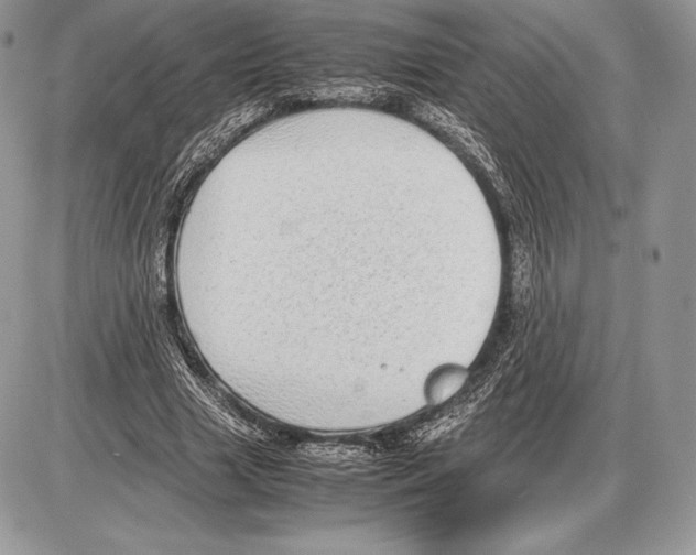 X0000085780633200704131830