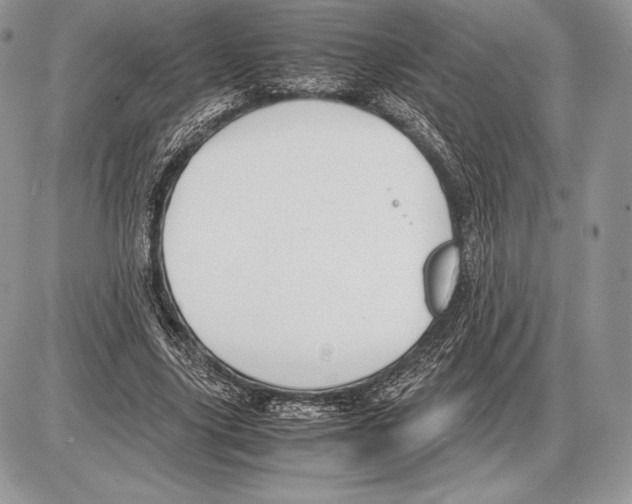 X0000085780635200704131830