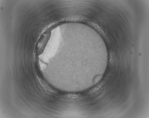 X0000085780636200704131830