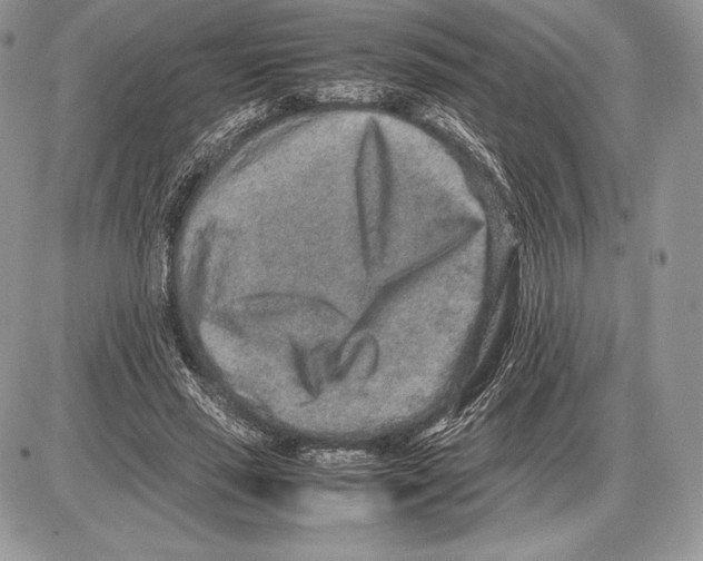 X0000085780637200704131830